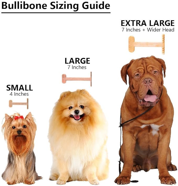 Bullibone Nylon Dog Chew Toy for Aggressive Chewers - Dental Hygiene Bone with Peanut Butter Flavor, Durable Tough Chew Toys for Small Dogs, Indestructible Dog Bone - Single