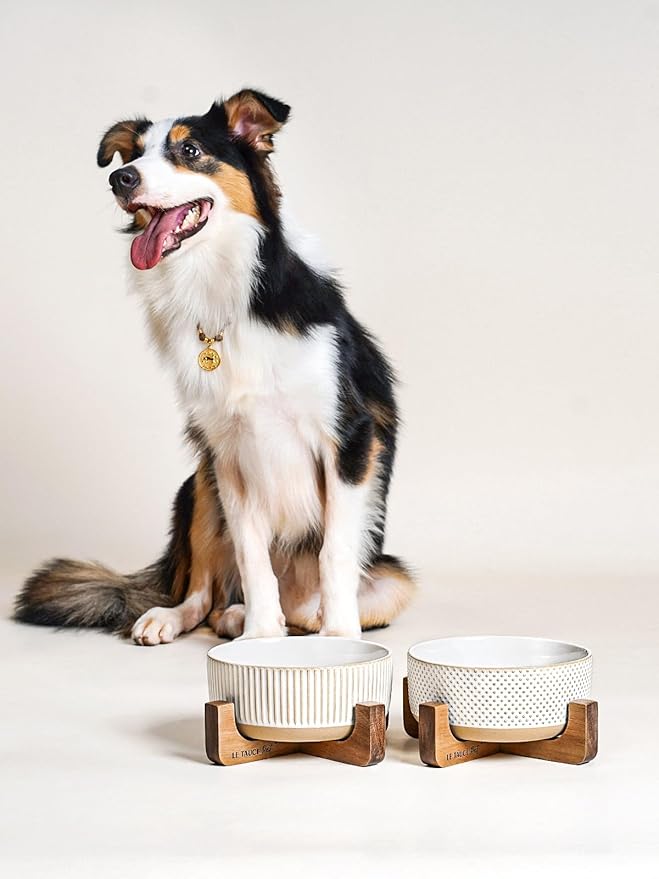 LE TAUCI PET Ceramic Dog Bowls for Medium Large Dogs - 5 Cup Large Dog Food and Water Bowls with Wood Stand, Cute Pet Dishes Set of 2, Lines+Dot