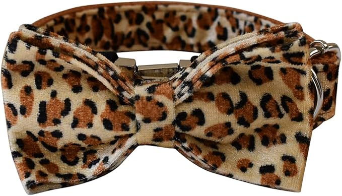 Personalized Dog Collars for Puppy Small Medium Large Pets with Engraved Name and Phone Number (M, Leopard)