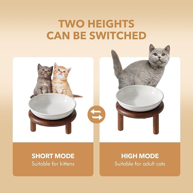 Elevated Ceramic Cat Dish, Wide Whisker Friendly Anti-Slip Food & Water Bowl with 2 Heights Adjustable Acacia Wooden Stand - Pet Bowl Set for Cats (1 Dish + 1 Stand, White)