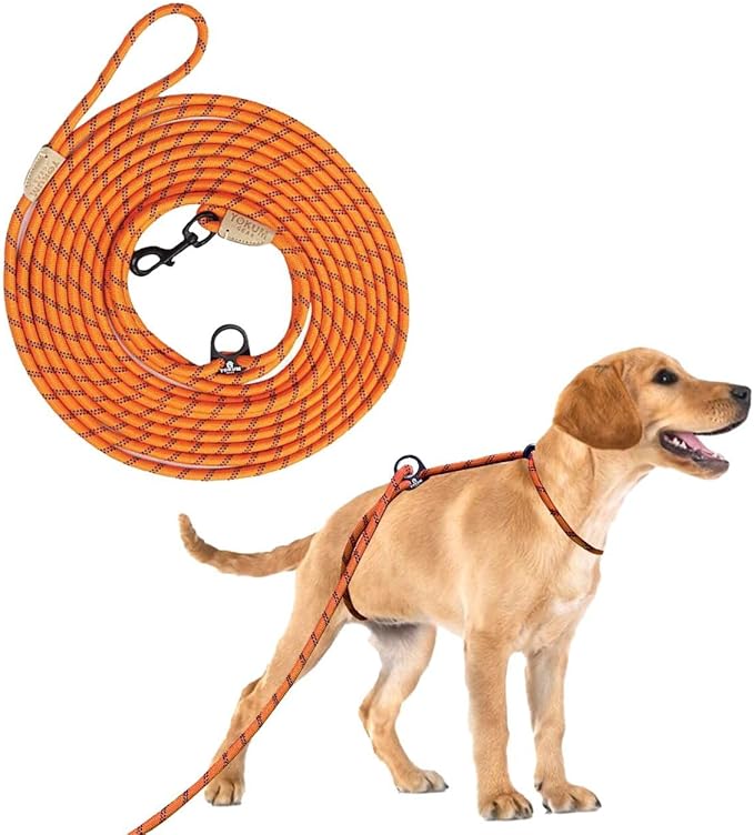 30ft Check Cord to Train Dog, Anti Pulling, Dog Leads for Walking, Double Hook & Escape Proof for All Breeds, Reflective Orange