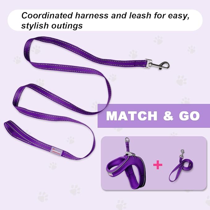 Cat Harness and Leash Set,Escape Proof Kitten Harness,Step in Adjustable Soft Lightweight,Easy Control,Reflective Strips Comfortable for Walking Travel(Purple,M)