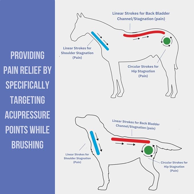 Curry on a Stik' - Dog Brush for Shedding, Grooming, Bathing, & Therapeutic Massage Tool - For Long & Short Haired Dogs - Decreases Shedding & Increases Coat Health - Veterinarian Approved - Ergonomic
