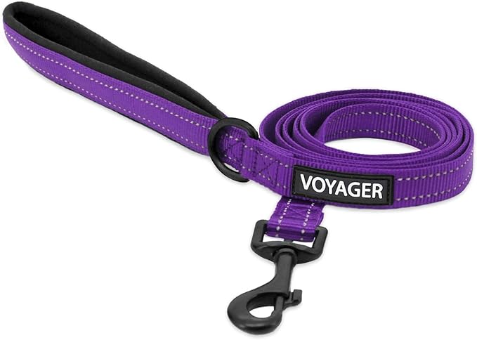 Best Pet Supplies Voyager Reflective Dog Leash or Collar with Neoprene Handle, for Small, Medium, and Large Breed Puppies, Cute and Heavy Duty for Walking, Running and Training - Purple Leash, L