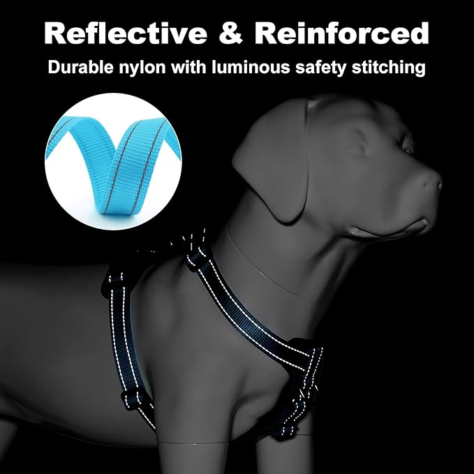 Plutus Pet Adjustable No Pull Dog Harness with Leather Accents, Heavy Duty Reflective Nylon Vest for Training, Hiking, Easy Walk Harness for Small, Medium, Large Dogs (Light Blue, M)