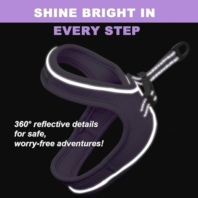 Cat Harness and Leash Set,Escape Proof Kitten Harness,Step in Adjustable Soft Lightweight,Easy Control,Reflective Strips Comfortable for Walking Travel(Violet Purple,M)