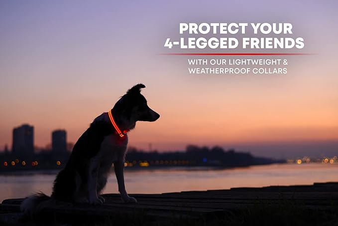 ILLUMISEEN LED Dog Collar USB Rechargeable - Bright & High Visibility Lighted Glow Collar for Pet Night Walking - Weatherproof, in 6 Colors & 6 Sizes (Red XX-Small)