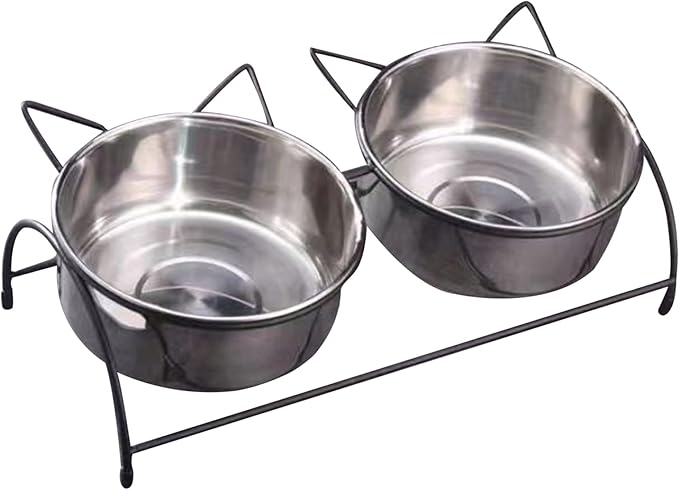 Hotainoys Elevated Cat Bowls 2 Stainless Steel Cat Bowls with Stand, Raised Bowl for Food ＆ Water Non Slip Tilted Food for Cats and Dogs Anti Vomit Elevated Bowl