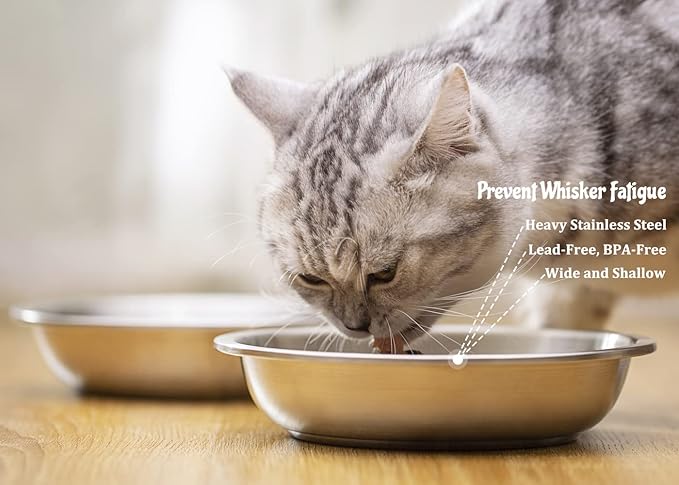 Stainless Steel Cat Bowls 4 Pack, Whisker Fatigue Relief Cat Food Dish, Metal Shallow Wide Large Replacement Plate for Dog and Pet, Ideal for Raised Elevated Pet Feeding Station Stand, 7.1"
