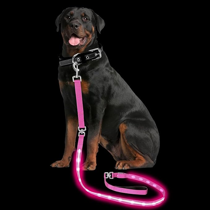 PetIsay Light up Dog Leash for Night Walking - USB C Rechargeable - Waterproof - Dog Leashes with Flashlight - LED Leash for Dogs - 6Ft, Pink