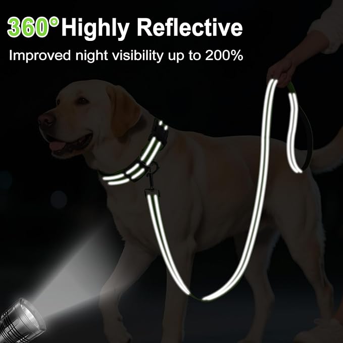 Erbine 4FT Reflective Nylon Dog Leash with Soft Padded Handle for Walking, Running and Training, Supports Small Medium and Large Dogs (Green, 3/4 Inch Wide)