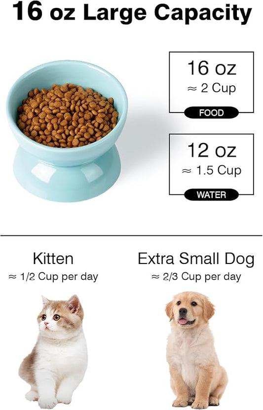 Cat Water Bowl, 16 OZ Ceramic Elevated Cat Bowls, 15° Tilted and Raised Pet Food Dish, Anti Vomiting Protect Pets' Spines and Whisker Fatigue, Turquoise