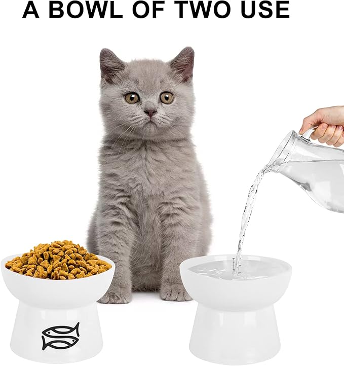 Vencer Cat/Small Dogs Slow Feeding Bowls,Raised Cat Food/Water Bowl (High-Capacity) Elevated Cat Dog Dish,Pet Bowls for Cats or Small Dogs,VCB-002