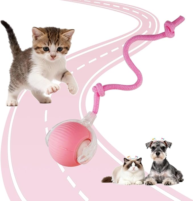 KumCinm Interactive Cat Toys Ball for Indoor Cats, Interactive Rolling Small Dog Cat Toys Automatic Self Moving, 360°,Electric Balls，Fast Rolling，Smart Automatic Rolling Pet Ball (Pink)