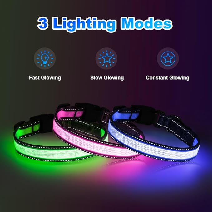 Dolitego LED Dog Collar USB Rechargeable - Light Up Dog Collar Safety Pet Collars with Lights for Night Walking (Blue, L)