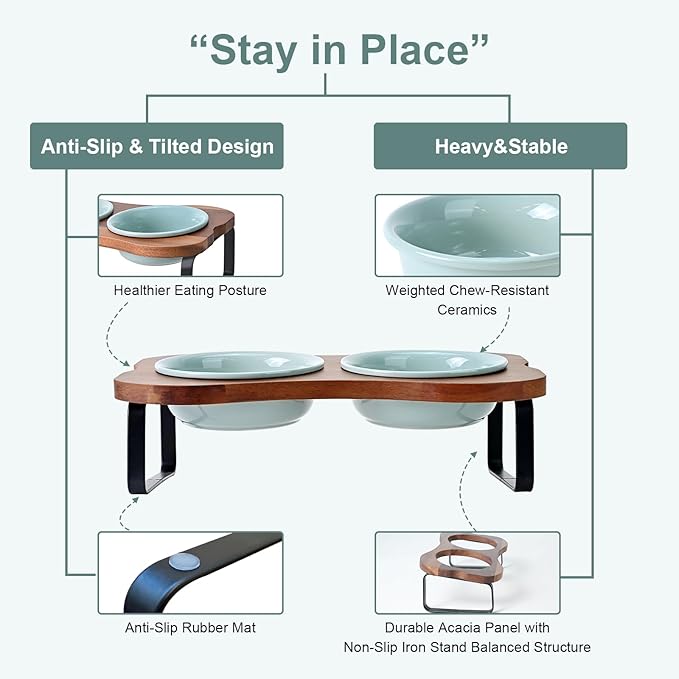 SPUNKYJUNKY Ceramic Elevated Tilted Dog Bowls Bone-Shaped Raised with 2 Height Iron Stand, 5.9'' Dog and Cat Food Water Bowls Set Non-Slip for Small Sized Breed - 13.5 OZ,Light Green