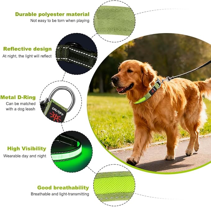 Dolitego LED Dog Collar USB Rechargeable - Light Up Dog Collar Safety Pet Collars with Lights for Night Walking, Camping (Green, M)