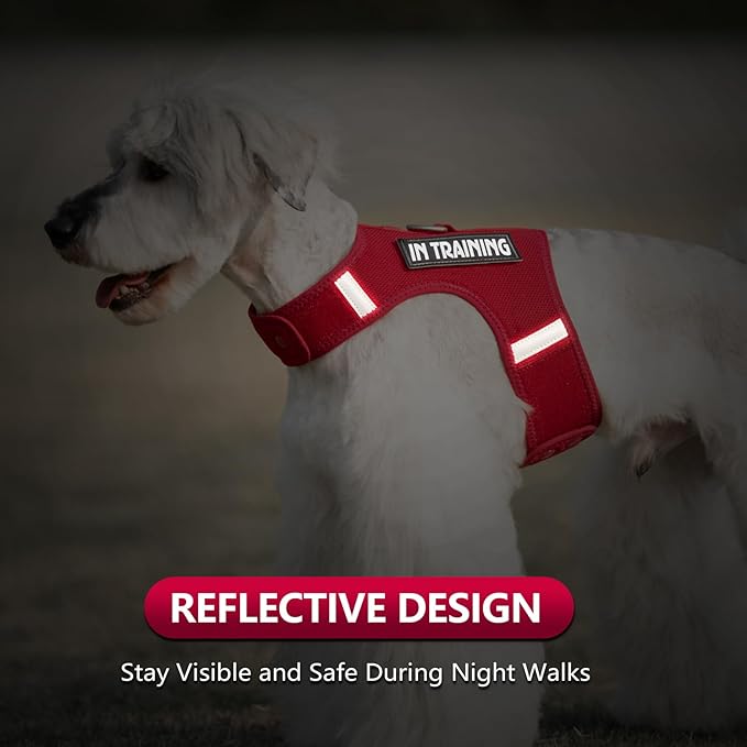 Dog Harness for Puppy – Adjustable Reflective Easy Put On Soft Mesh Vest for Small Dogs with 2 Patches (Burgundy Red,XS)