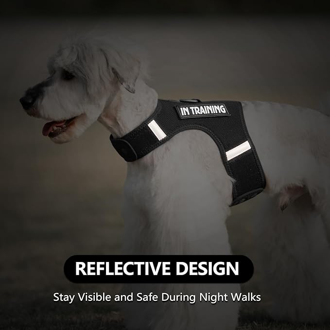 Dog Harness for Puppy – Adjustable Reflective Easy Put On Soft Mesh Vest for Small Dogs with 2 Patches (Black,L)