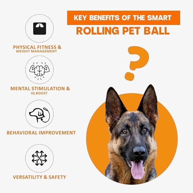 KBLZONE Interactive Cat Ball Toy – Smart Rolling Pet Ball with Obstacle Avoidance, USB Rechargeable, Cord Tail Design – Fun Enrichment Toy for Indoor Cats & Small Dogs (Orange + Green)