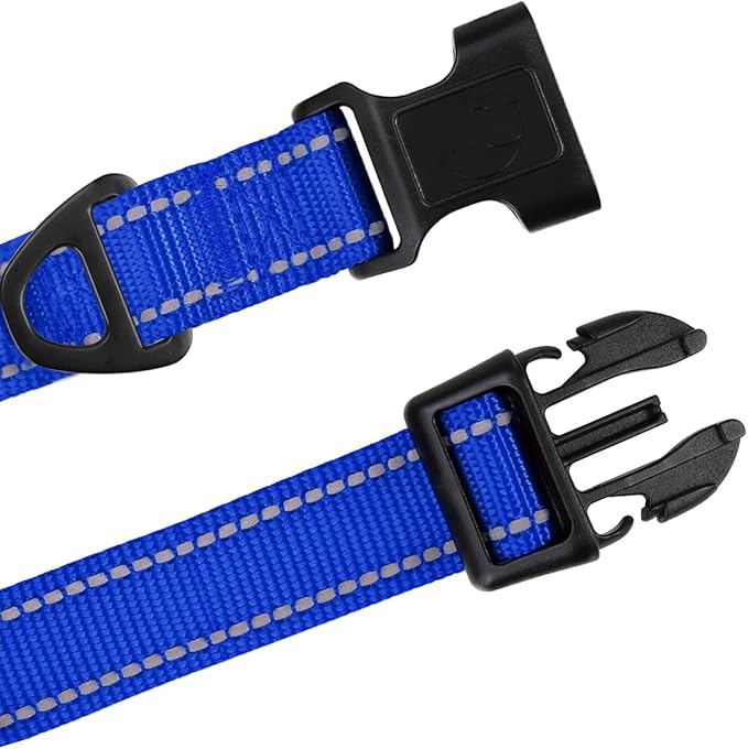 TagME Reflective Nylon Dog Collars, Adjustable Classic Pet Collar with Quick Release Buckle for Large Dogs, Royal Blue, 1.0" Width