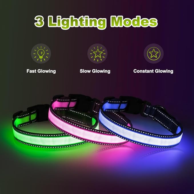 Dolitego LED Dog Collar USB Rechargeable - Light Up Dog Collar Safety Pet Collars with Lights for Night Walking,Camping (Green, L)