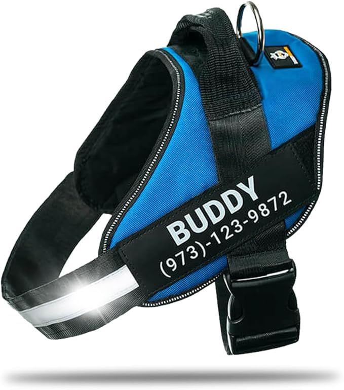 Personalized No-Pull Dog Harness with Name Patch, Adjustable, Reflective, Padded, Heavy Duty Pet Vest to Prevent Tugging, Pulling, or Choking, Training and Walking, Blue, S
