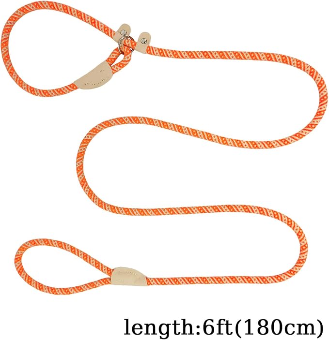 Slip Lead Rope Dog Leash Heavy Duty for Training, Nylon Strong Slip Leads for Dogs 6 Ft X 3/8 Inch, Adjustable Comfortable Training Leash for Small Medium Dogs