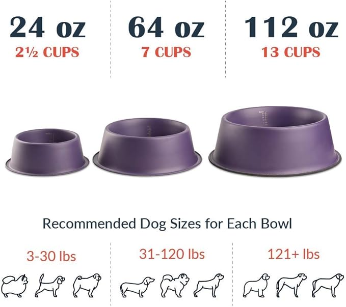 Flourish Stainless-Steel Dog Bowls | Extra Thick, Durable Pet Bowl | Non-Slip Silicone Base, Easy to Measure, Pet Bowls for Kibble & Water | for All Kind of Dogs & Cats (Purple-112 Ounces) 2PK Large