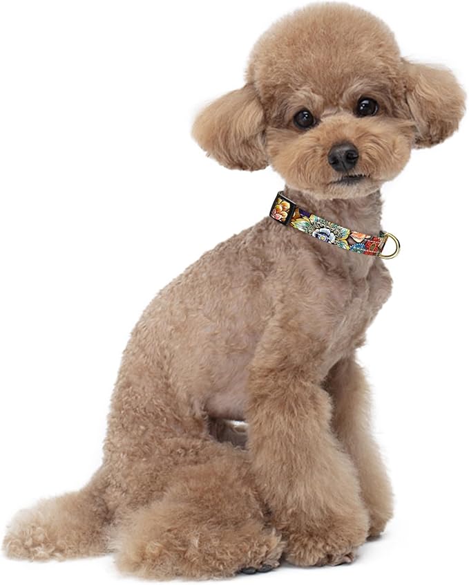 Reflective Dog Collar for Small Dogs, Cute Boho Adjustable Heavy-Duty Nylon Puppy Collar for Boy and Girl Female, Soft Pet Accessories with Quick Release Buckle, Colorful Mandala