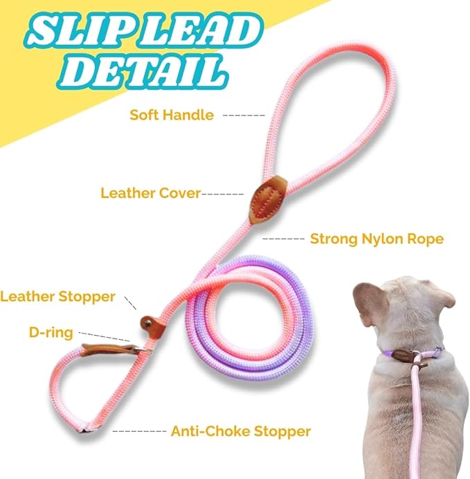Dog Leash - Slip Leads for Dogs, 5 FT Pet Training Leash, Strong Heavy Duty Braided No Pull Loop Rope Training Lead Leashes for Small, Medium, Large Breeds, Pink & Purple