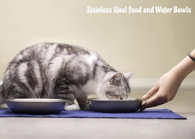 Stainless Steel Cat Bowls 4 Pack, Whisker Fatigue Relief Cat Food Dish, Metal Shallow Wide Large Replacement Plate for Dog and Pet, Ideal for Raised Elevated Pet Feeding Station Stand, 7.1"