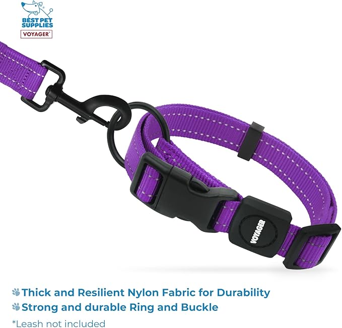 Best Pet Supplies Voyager Reflective Dog Leash or Collar with Neoprene Handle, for Small, Medium, and Large Breed Puppies, Cute and Heavy Duty for Walking, Running and Training - Purple, S