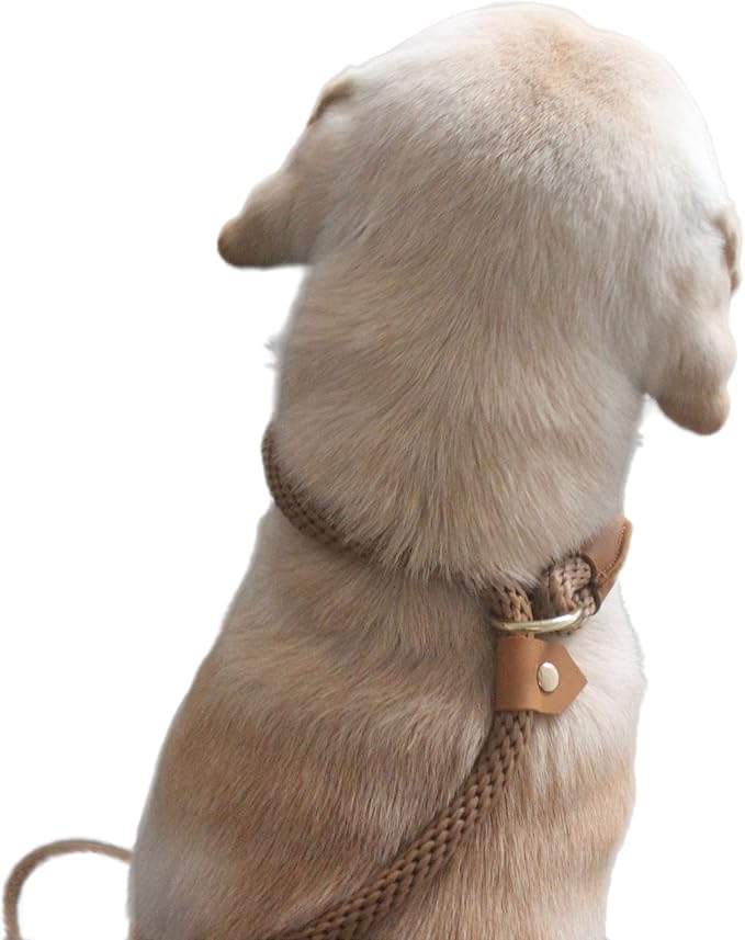 Pet Slip Leash, 6ft Slip Leads for Dogs, Dog Lead Collar Combo
