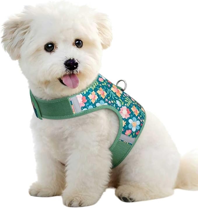 Dog Harness for Small Sized Dog,Hook-and-Loop Easy On/Off, Reflective Adjustable Soft Mesh Vest for Puppy (Green Floral Print,L)