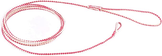 Alvalley Braided Dog Leash with Loop - Handmade Training Lead - Made of Leather - Use with a Slip Collar or Chain - Perfect for Small, Medium and Large Dogs for Walking, Training, and Showing