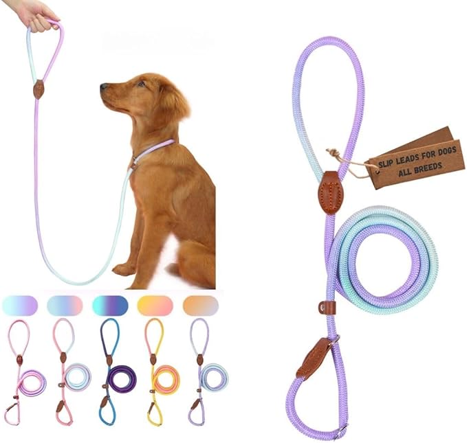 Dog Leash - Slip Leads for Dogs, 5 FT Pet Training Leash, Strong Heavy Duty Braided No Pull Loop Rope Training Lead Leashes for Small, Medium, Large Breeds, Purple & Green