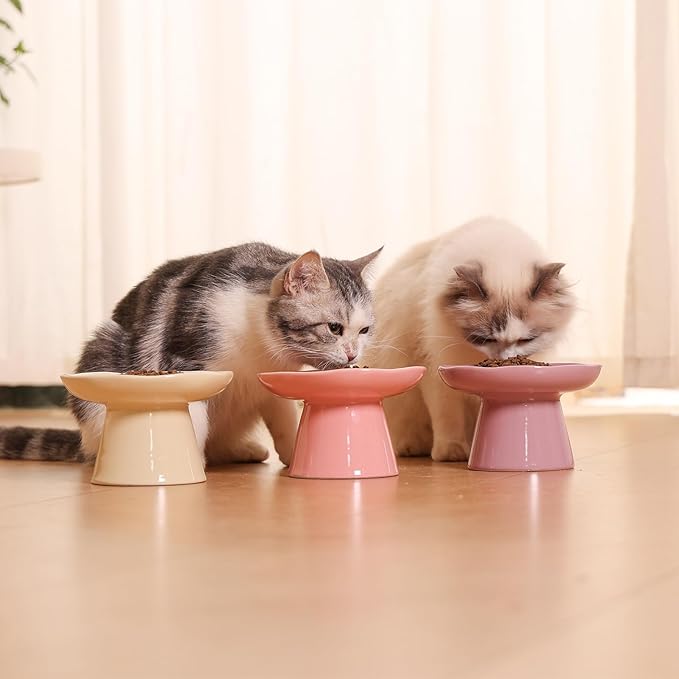 Extra Wide 6.1" Raised Cat Food Bowl, Shallow Ceramic Elevated Cat Feeder, Anti Vomiting, Stress Free, Whisker Fatigue, Pet Food or Water Bowl, Pink