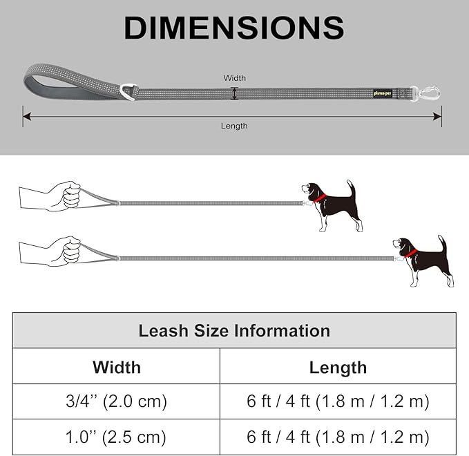 Plutus Pet Heavy Duty Dog Leash with Lockable Aluminum Carabiner, 4/6 Feet Long, Double-Sided Reflective Nylon, Padded Handle, for Puppy, Small, Medium and Large Dogs (Blue, 1" x 4')