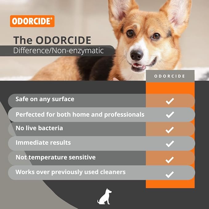 Odorcide Odormed Odor Eliminator Concentrate - Pet Odor Eliminator for Strong Odor on Floors, Walls, Cages & More - All-Purpose with Safe, Non-Enzymatic Formula (1 Gal, Caribbean Citrus Mist)