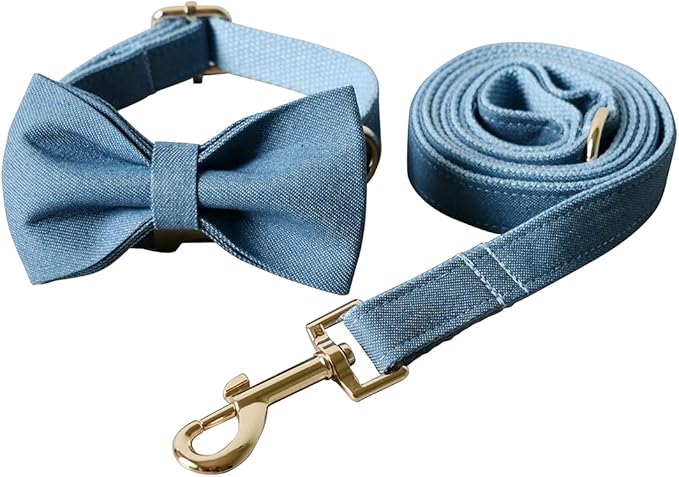 Personalized Dog Collars for Puppy Small Medium Large Pets with Engraved Name and Phone Number (XL, Blue)