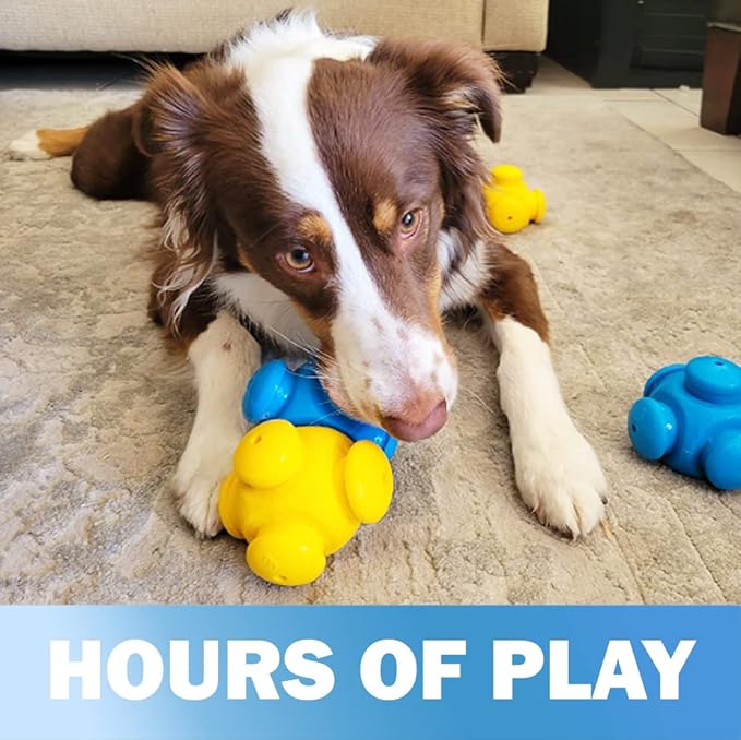 Dog Puzzle Toys for Smart Dogs, Boredom Busters, Mentally Stimulating, Hard Puzzle, Difficult Toys to Keep Them Busy, Cognitive Dog Games, Puppy Puzzle Toys