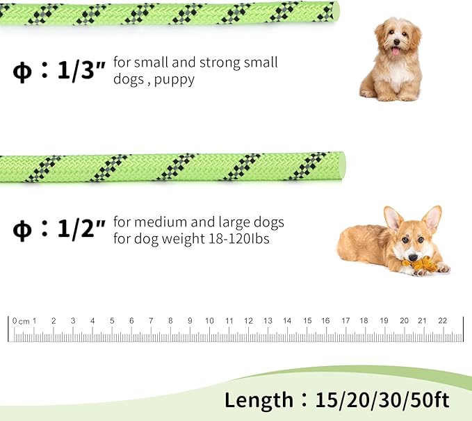 Long Dog Leash for Training 20Ft-Reflective Nylon Rope with Swivel Hook-Recall Agility Lead for Large Small Medium Dogs Outside Walking Hiking-Green Diam 1/2"