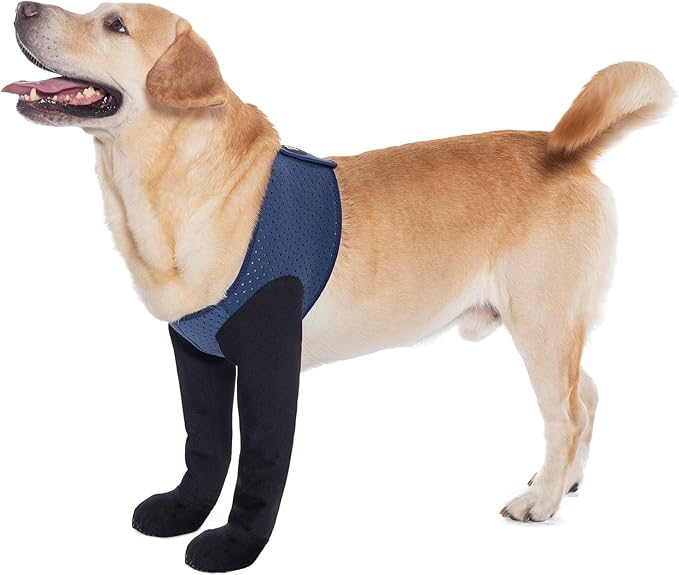 COODEO Dog Socks & Paw Protectors - Front Paws Only, Non-Slip Waterproof Dog Boots to Prevent Paw Licking, Protect Wounds & Aids Post-Surgery Recovery (Blue, M)