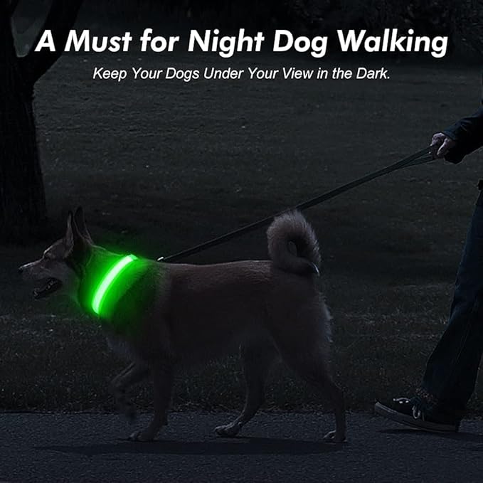 Illumifun LED Dog Collar, USB Rechargeable Light Up Collar, Flashing Pet Safety Light Glow in The Dark (Green, X-Large)
