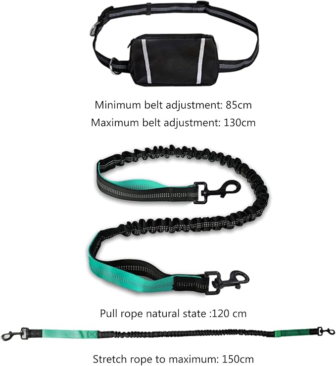 Sports Waist Bag Long Leash for Dog Multifunctional Leash Outdoor Reflective for Training Hiking Pack Running Belt