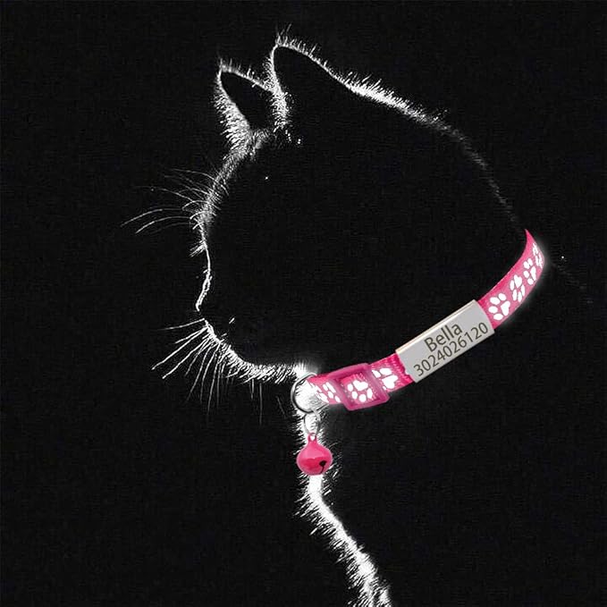 Personalized 2 Pack Reflective Cat Collar,Custom Breakaway Cat Collars with Name Tag and Bell,Anti-Lost Nameplate Cat Collar for Girls & Boys (Hot Pink,fit 8''-11.0'')