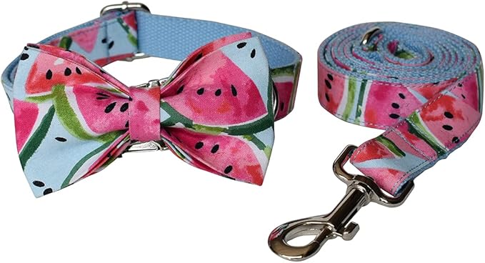 Personalized Dog Collars for Puppy Small Medium Large Pets with Engraved Name and Phone Number (S, Watermelon)