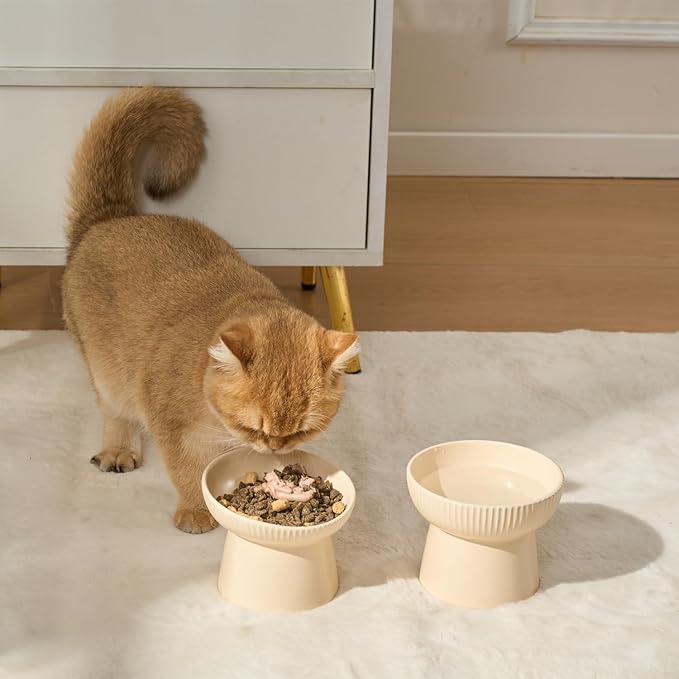 Ceramic Elevated Cat Bowls-Water Bowl, 15° Tilted Design, Anti-Vomiting & Spine Protection, Prevent Whisker Fatigue for Kittens to Adult Cats and Small Dogs (White-15° Cat Bowls-2)