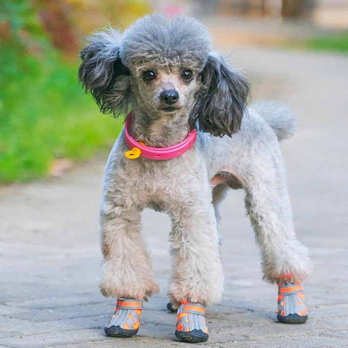 Paipeper Dog Shoes for Small Medium Dogs,Dog Boots & Paw Protectors for Hot Pavement and Winter Snow,Anti-Slip Rubber Dog Booties for Outdoor Walking and Indoor Hardfloors(Orange-Size 01)